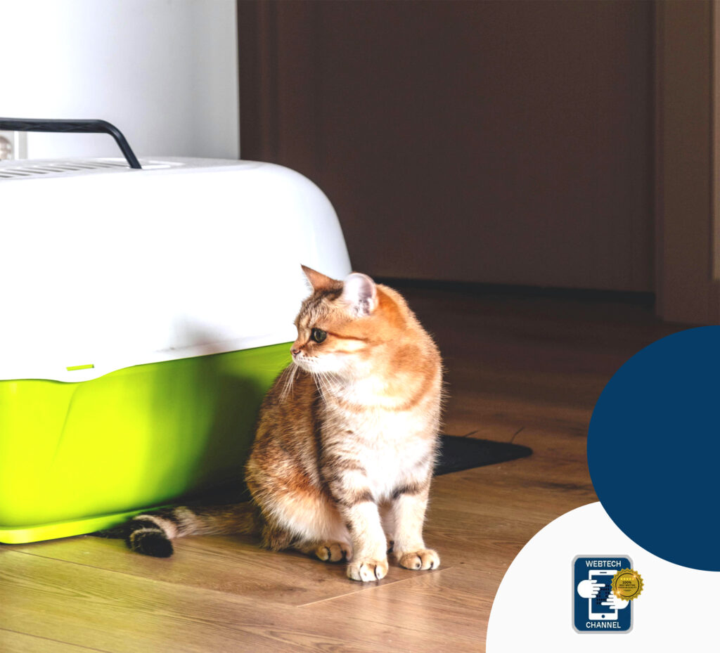 litter-box-pet-feeders